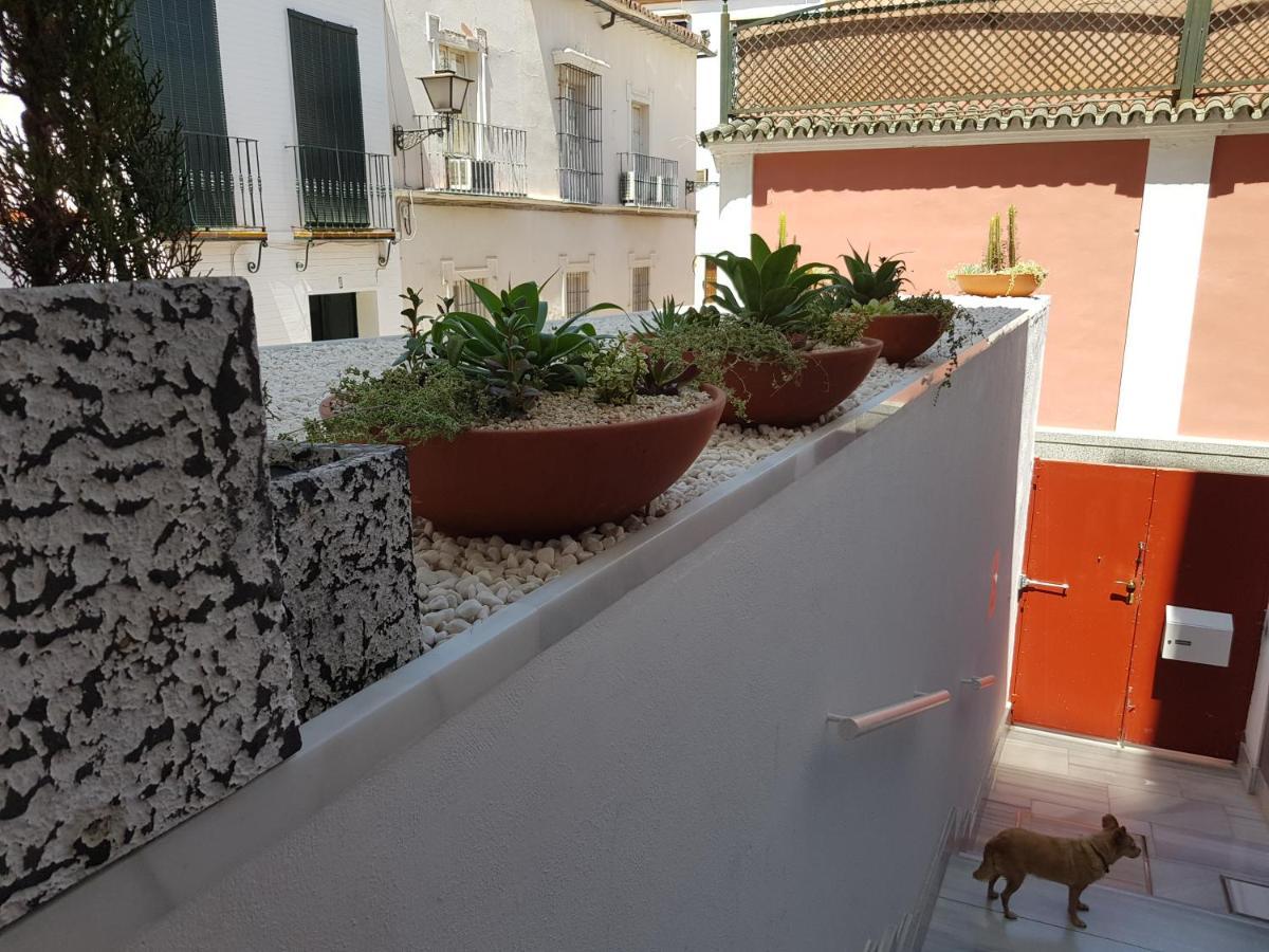 Lolita'S House Alhambra Apartment Seville Luaran gambar
